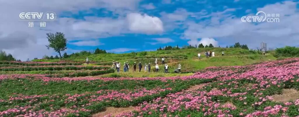 讓“網紅”變“長紅”、“流量”成“留量” 各地打造特色文旅IP喜迎出遊熱潮