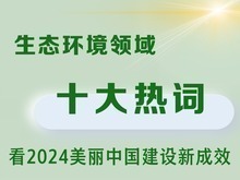 生態環境領域十大熱詞看2024美麗中國建設新成效