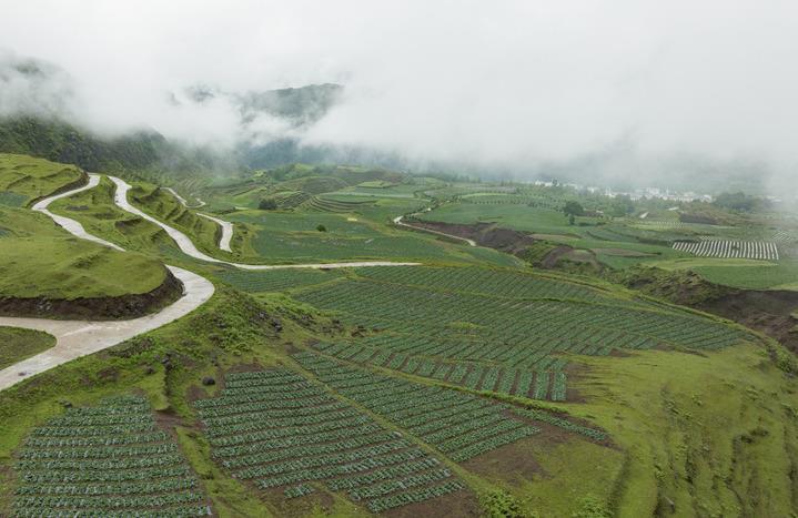 烏蒙山新傳——雲南昭通鄉村振興一線觀察