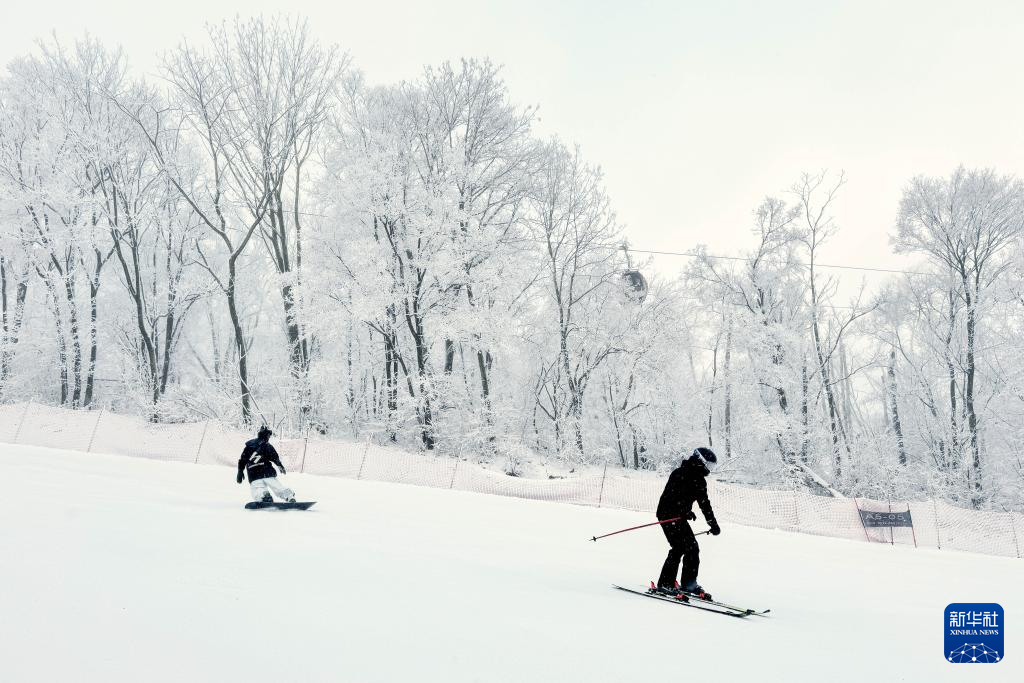 從阿爾卑斯山到長白山：“世界冰雪黃金緯度帶”冰雪經濟正“火熱”