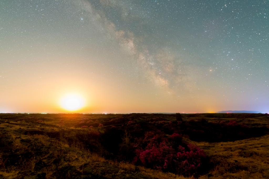 花語星空：一場星與花的對話