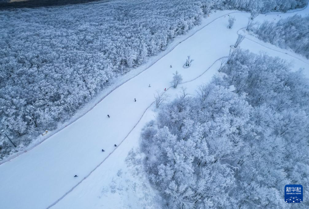 從阿爾卑斯山到長白山：“世界冰雪黃金緯度帶”冰雪經濟正“火熱”