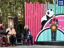 中國駐美大使出席華盛頓國家動物園大熊貓館開館儀式