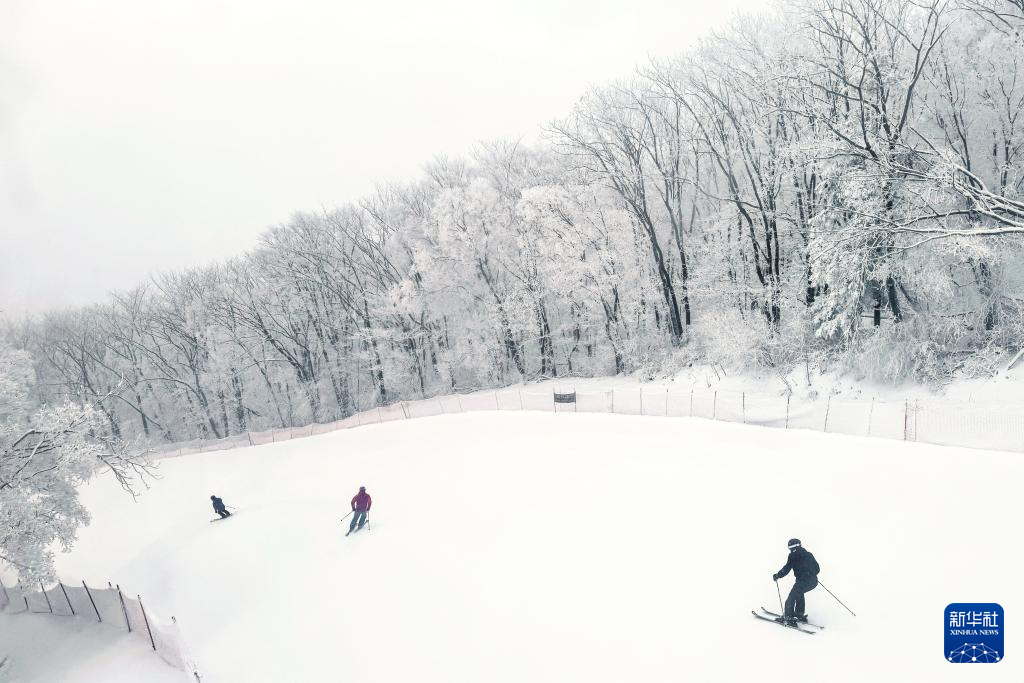 從阿爾卑斯山到長白山：“世界冰雪黃金緯度帶”冰雪經濟正“火熱”