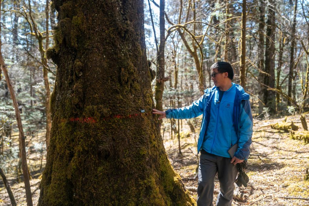 從雪山到森林，中國科學家保護生物多樣性“天堂”