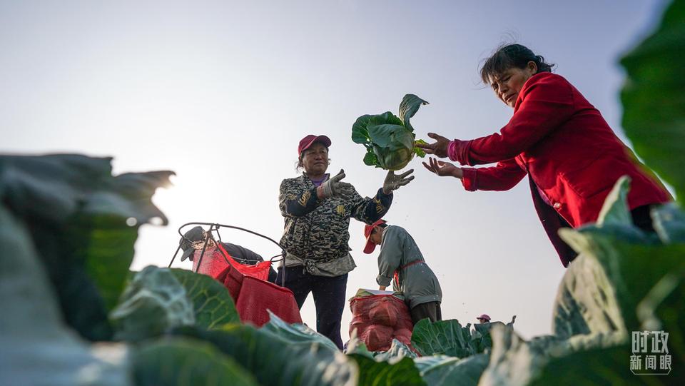 時政新聞眼丨習近平考察湖北，為何重點關注這兩個縣？