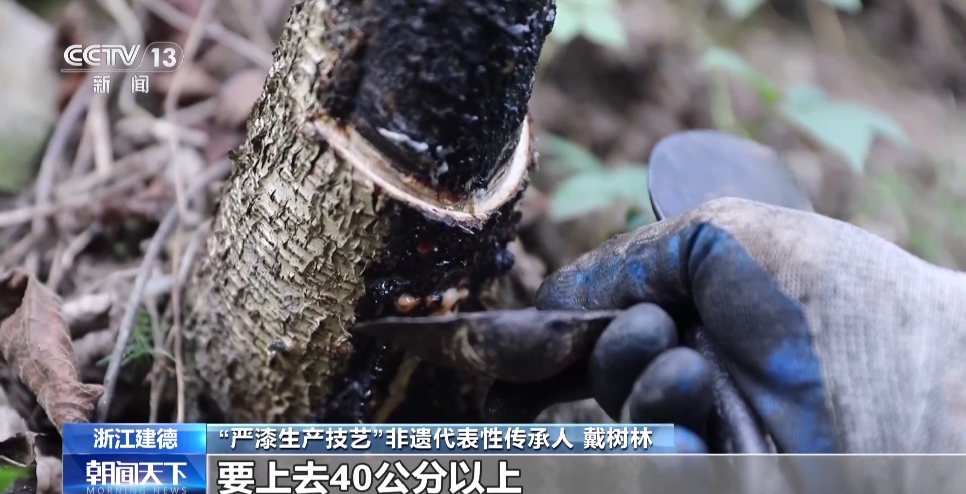 非遺的現代“漆”跡 嚴漆重綻家居新魅力