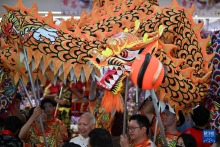 馬來西亞：舞龍迎農曆春節