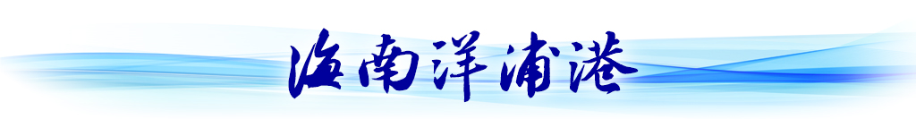 循著總書記關切，看西部陸海新通道建設新貌