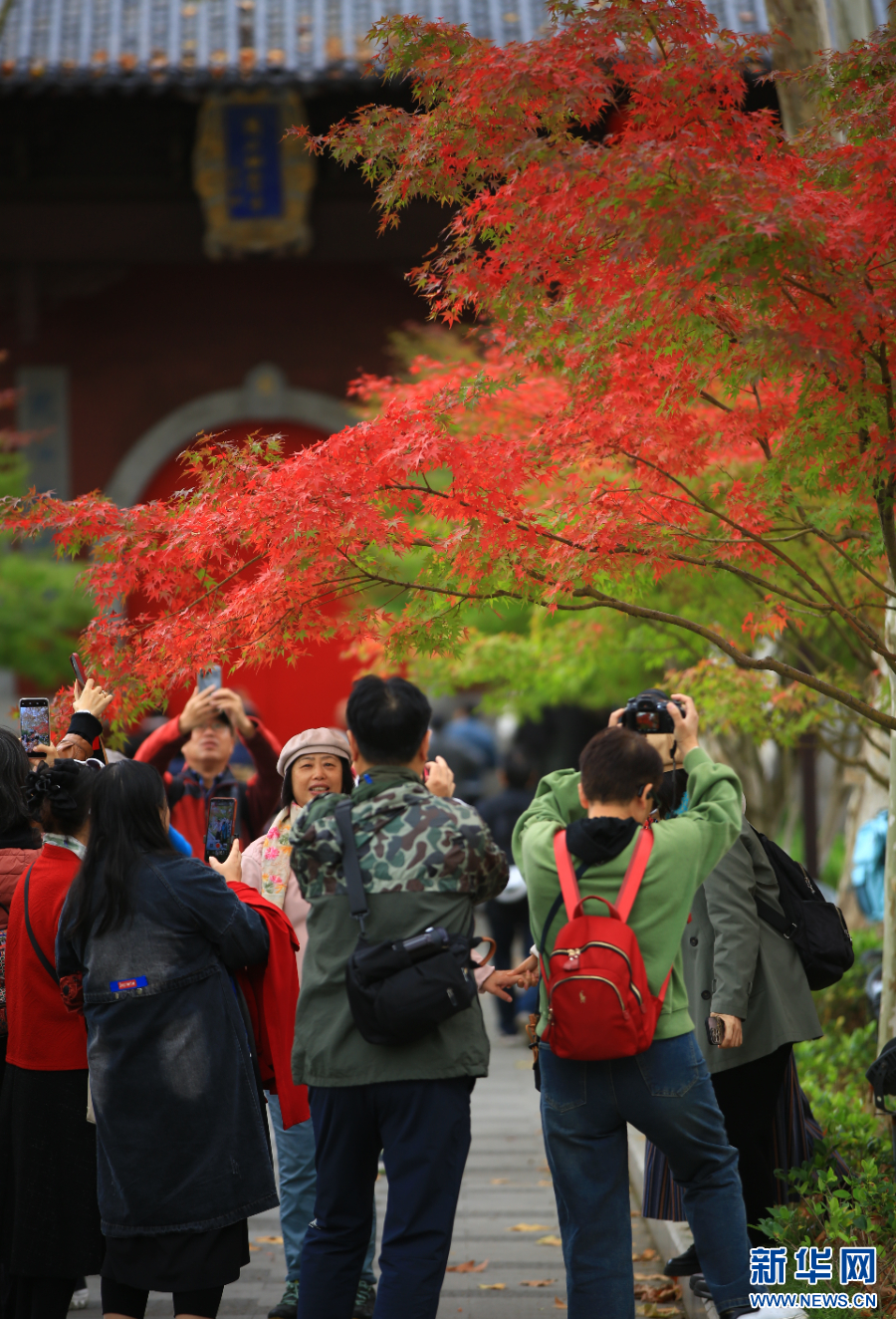 南京棲霞山：賞楓正當時