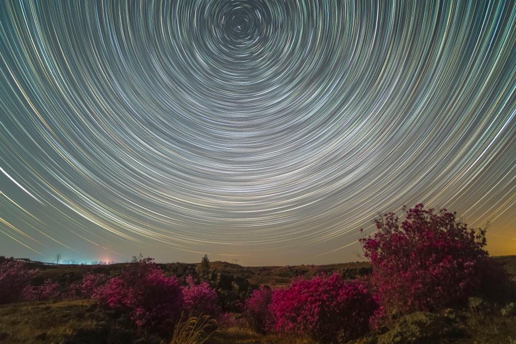 花語星空：一場星與花的對話