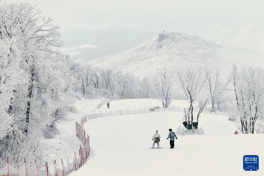 從阿爾卑斯山到長白山：“世界冰雪黃金緯度帶”冰雪經濟正“火熱”