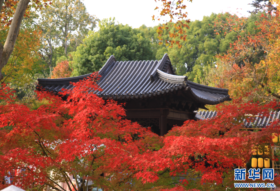 南京棲霞山：賞楓正當時