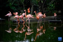 走進哥倫比亞卡利動物園