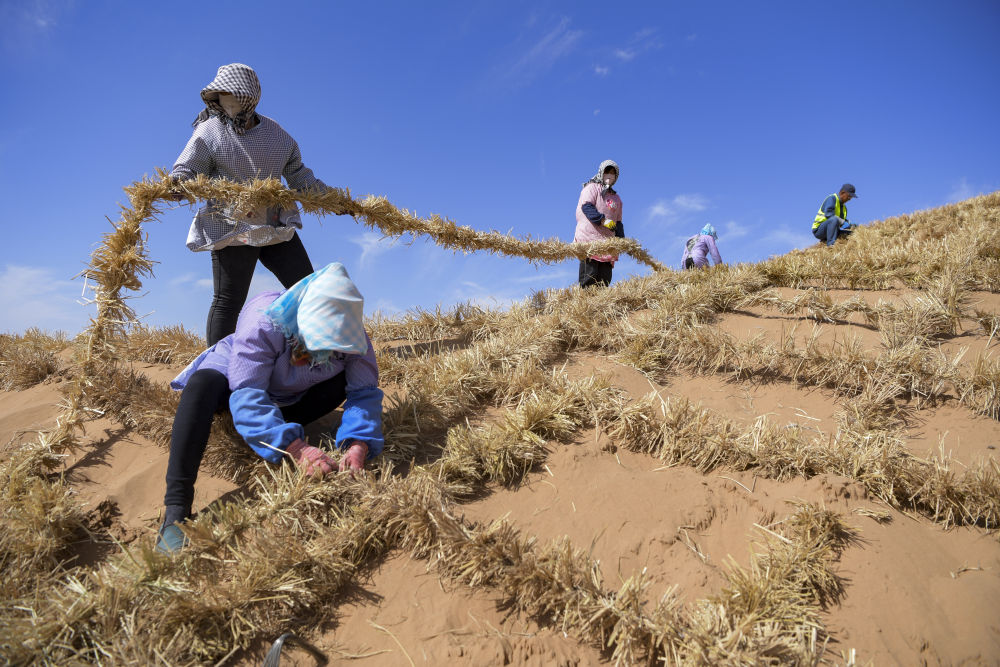 共繪美麗中國新畫卷——寫在2024年全國生態日到來之際