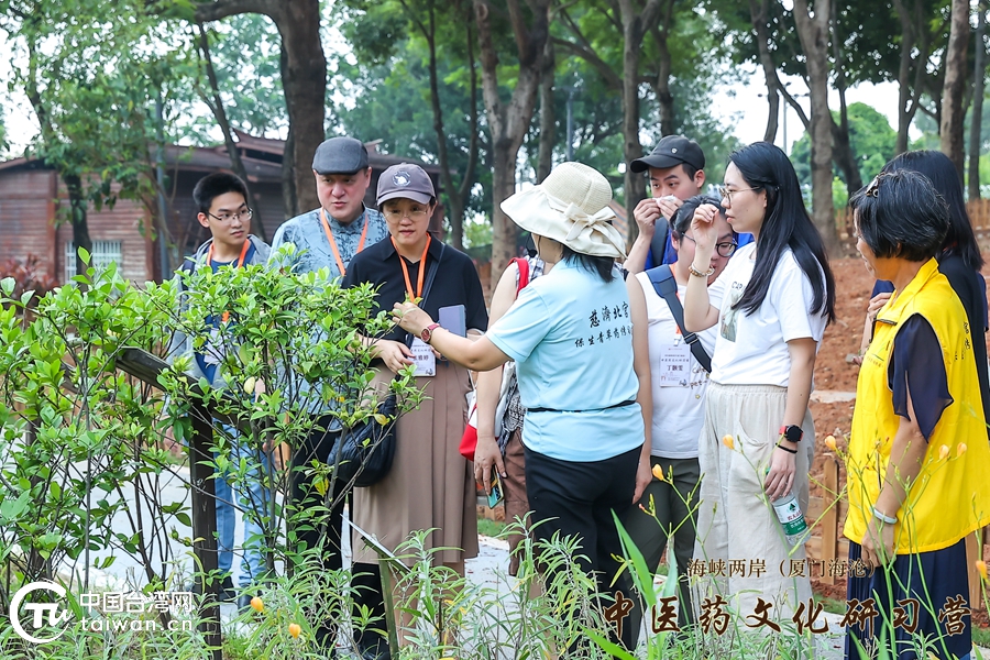 2024海峽兩岸（廈門海滄）中醫藥文化研習營活動圓滿收官