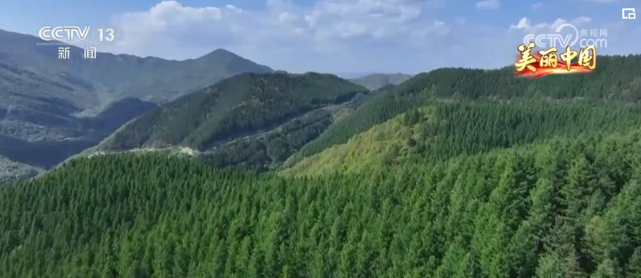 山清水秀引客來 綠水青山生態願景成為生活美景