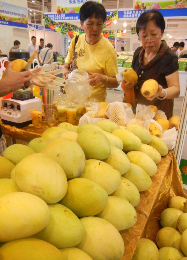 上百家臺企亮相進博會 臺媒:即使沒有邀請函也要來