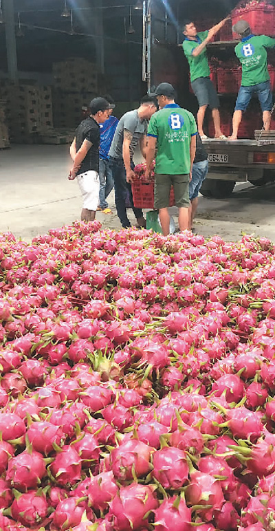 中國過大年  全球領“紅包”