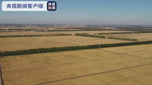 豐收北大荒 中華大糧倉 十大網紅大地號等您來“打卡”