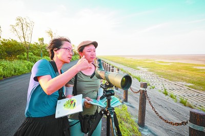 這片灘塗 連接了中國與世界