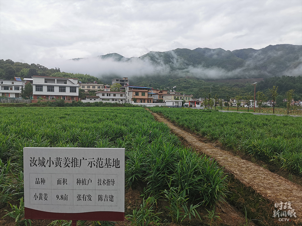 時政新聞眼丨習近平湖南考察第一天，這三點信息值得關注