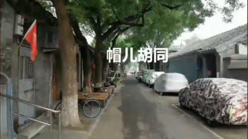 臺青逛衚同 覓地道“北京味兒”