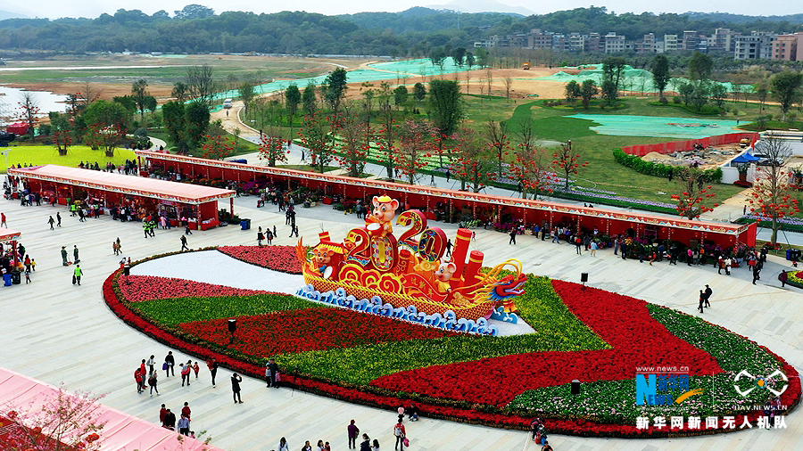 “年味”漸濃 無人機帶你逛花市