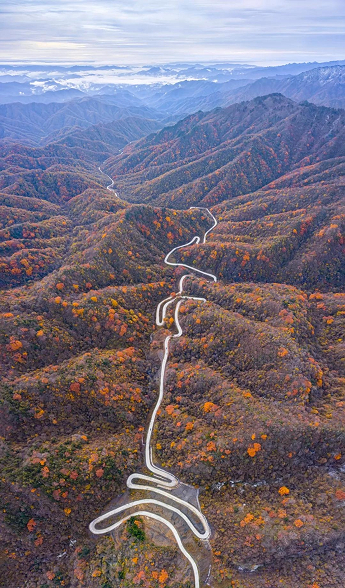 一葉知秋！帶上這份地圖，定制專屬於你的紅葉觀賞地