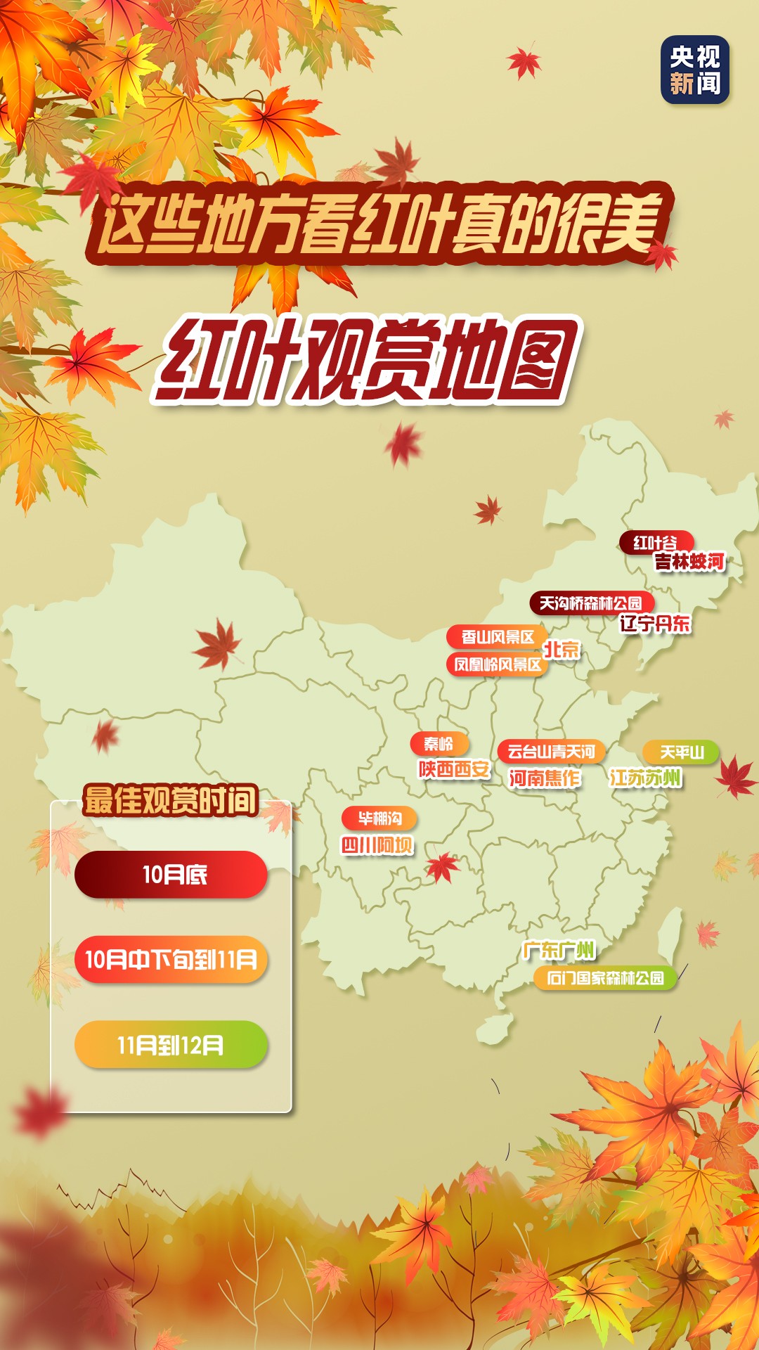 一葉知秋！帶上這份地圖，定制專屬於你的紅葉觀賞地