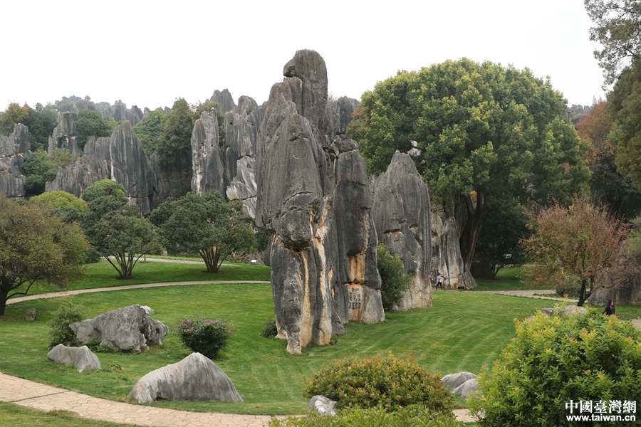 台灣年輕自媒體人訪石林國家地質公園