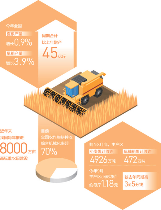 秋糧收穫接近八成，豐收已成定局—— 金秋季，糧食豐收有底氣