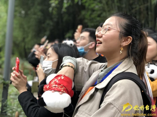 青春online行兩岸進行時 打卡熊貓的家 原來你是這樣的國寶