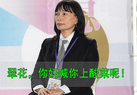 民進黨真瘋了 蔡當局“促轉會”為徹底“去蔣”要搞個大動作