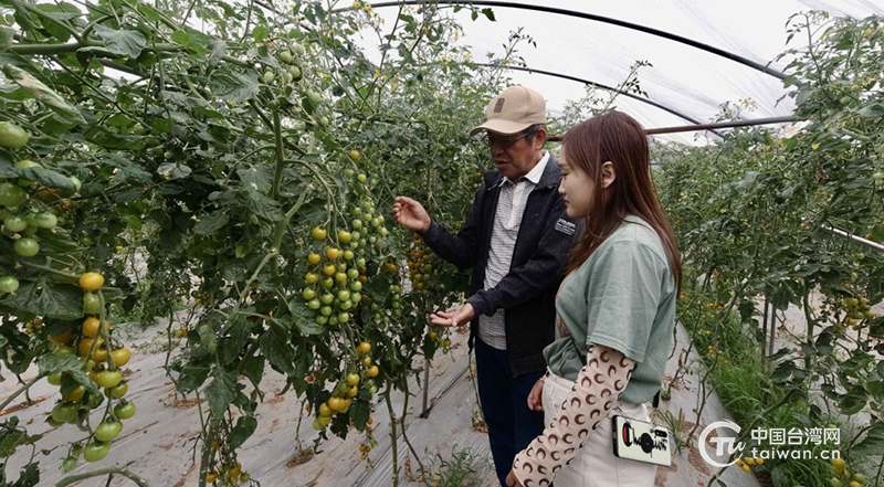 三個維度，看川臺農業合作如何成為四川農業轉型升級新引擎