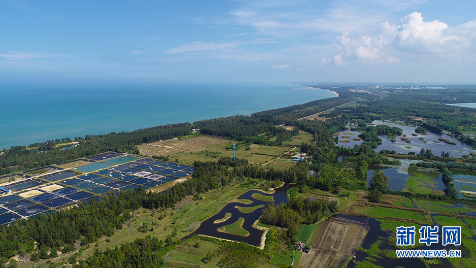 一個黎族自治縣聚集四個國家級公園 這是哪？