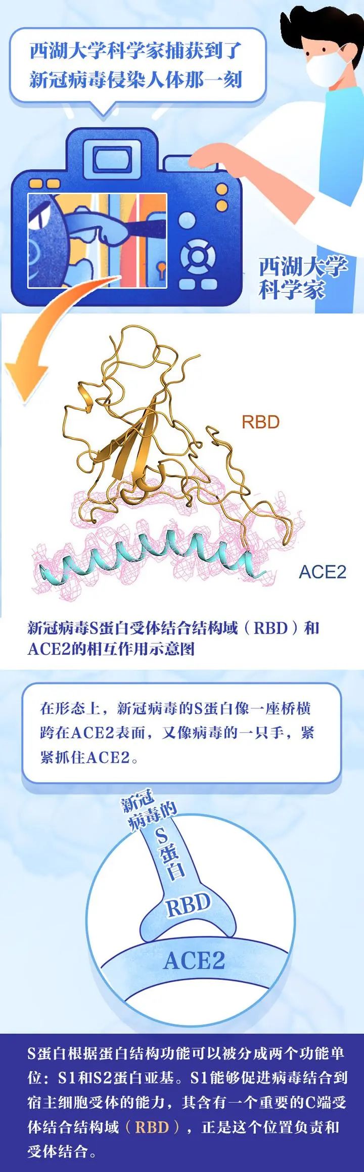 好消息！第一批疫苗已産生抗體