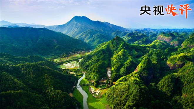 央視快評：眾人植樹樹成林