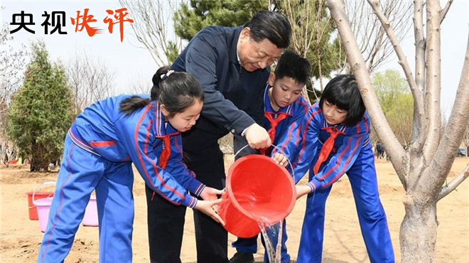 央視快評：眾人植樹樹成林