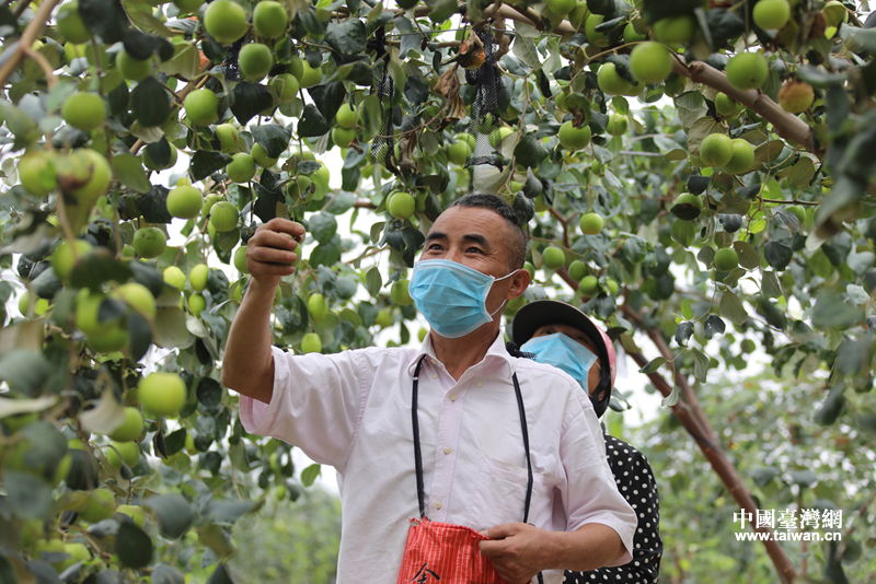 春耕忙起來！珠海臺創園全面復工復産