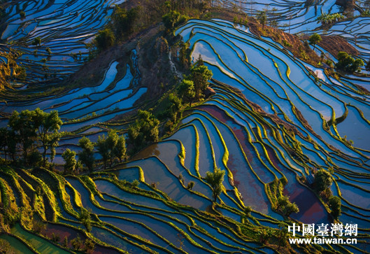 紅河州“雲上梯田·夢想紅河”旅遊新線路深受台灣同胞歡迎