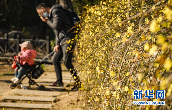 嫩綠、鵝黃、淡紫、粉紅……臺兒莊古城的春來了