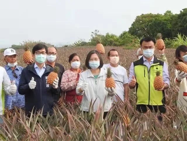 台灣“菠蘿鬧劇”：拿民眾的錢洗民眾的腦！