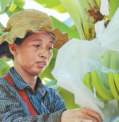 為維護世界糧食安全貢獻中國力量