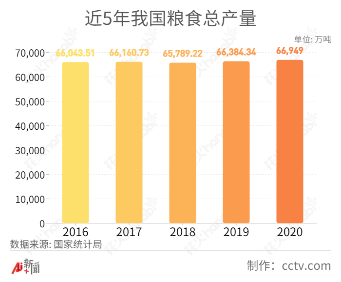 國際糧價大漲，中國人的“飯碗”會受影響嗎？