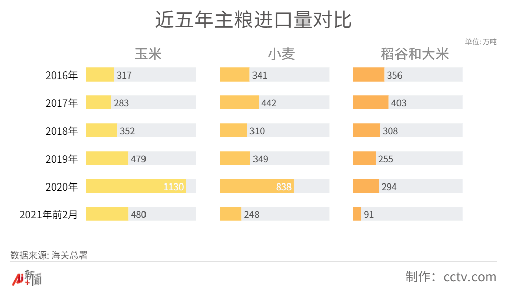 國際糧價大漲，中國人的“飯碗”會受影響嗎？