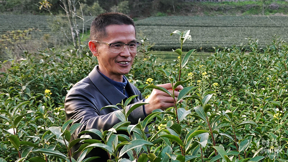 時政新聞眼丨 習近平再赴福建考察，這些關注點一以貫之