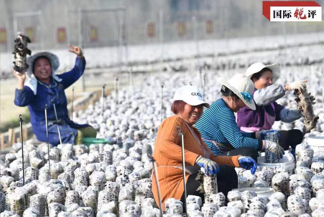 國際銳評：中國“精準扶貧”為人類減貧探出新路子