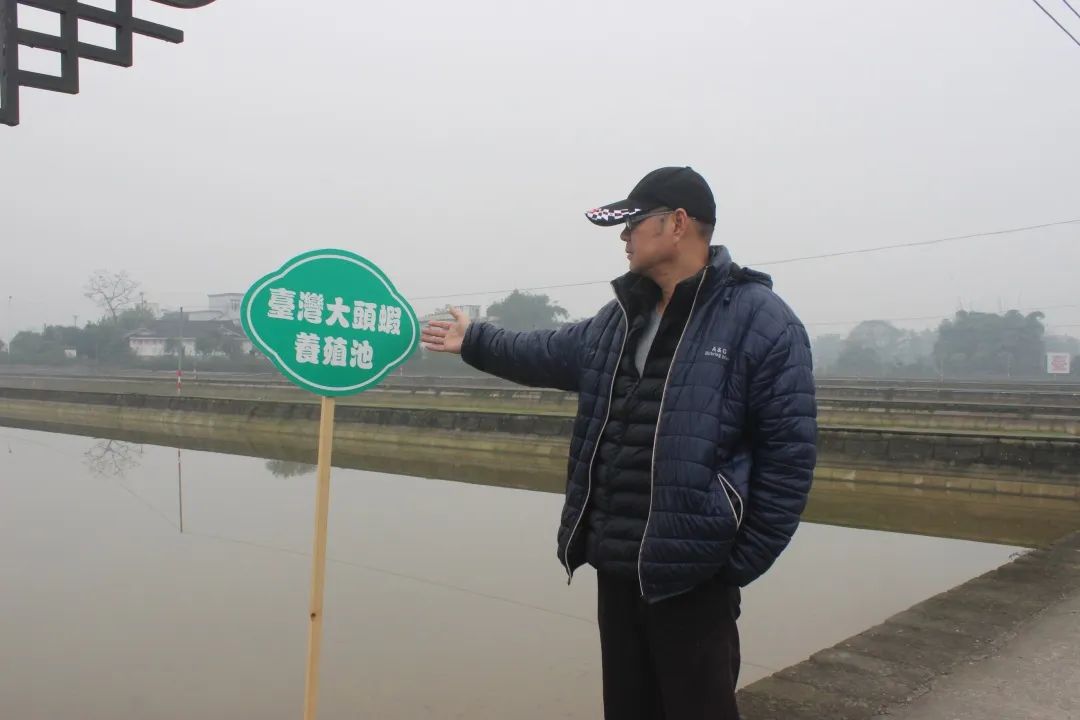 臺企特色水産養殖 助力瀘縣鄉村建設