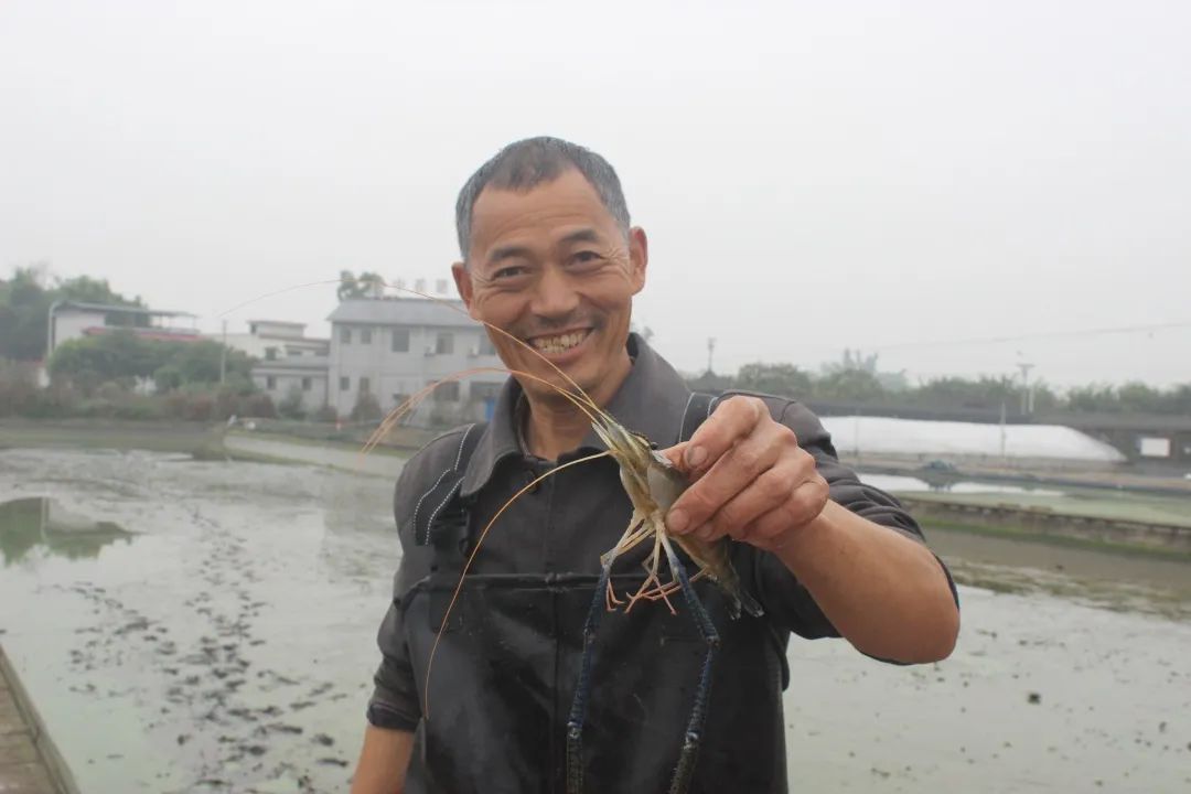 臺企特色水産養殖 助力瀘縣鄉村建設